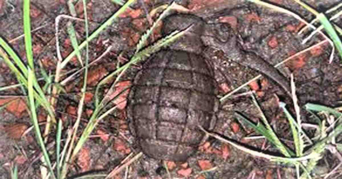 Live grenade , CMP , grenade found in steel factory , Live grenade recovered , Chattogram Metropolitan Police , Counter Terrorism Unit , Chattogram , Chattogram’s steel factory